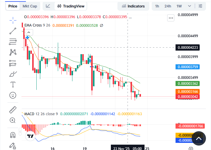 Sponge Market: Buyers Are Getting More Active