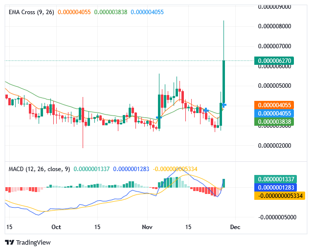 Sponge Price: Buyers Are Applying Further Pressure.