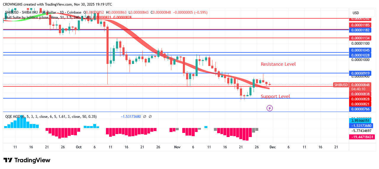Shiba Inu (SHIB) Price Is Declining Around $0.0000079 Barrier Level