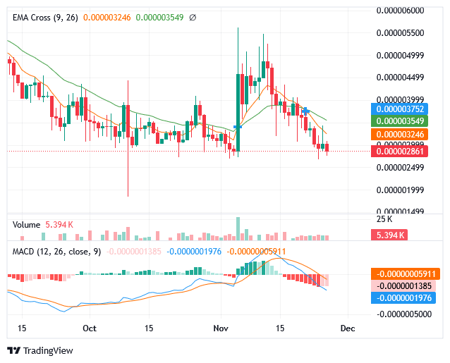 Sponge Price: More Bullish Candles Emerge