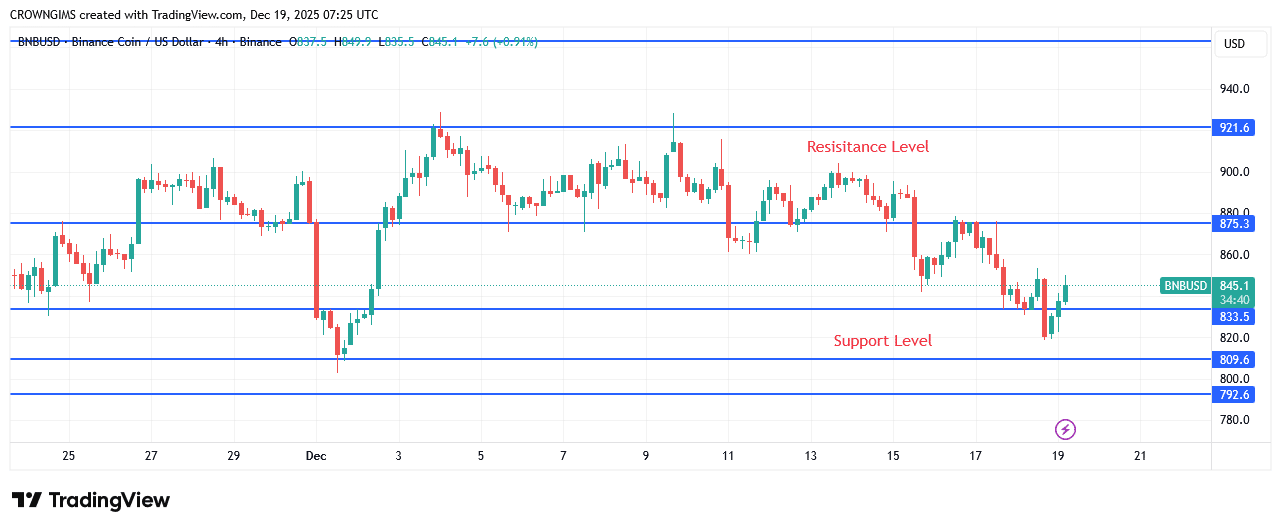 BNB (BNBUSD) Price May Decline Further