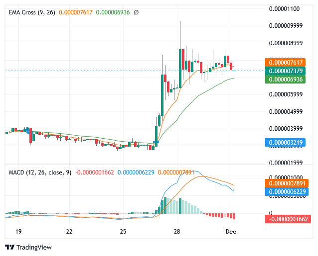 Sponge Market Exhibit a Positive Movement
