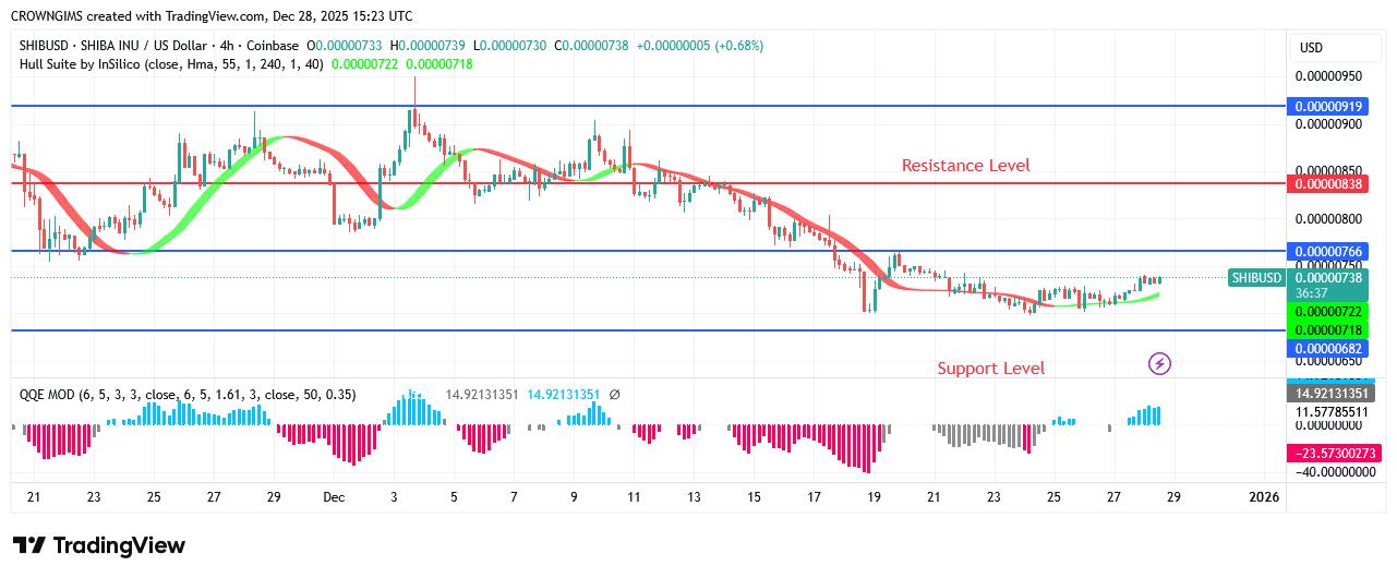 Shiba Inu (SHIB) Price: Will There Be a Further Price Reduction?