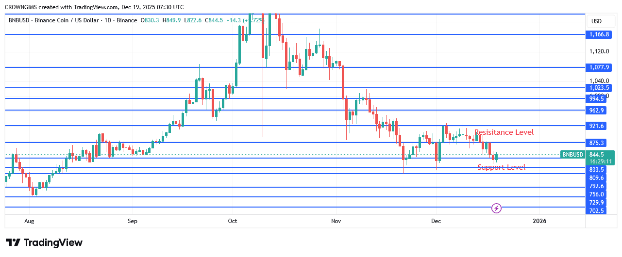 BNB (BNBUSD) Price May Decline Further