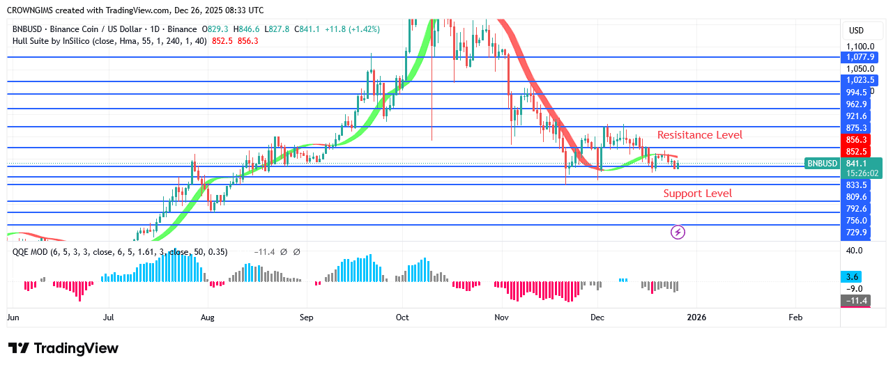 BNB (BNBUSD) Price: Sellers Hold Unto Market