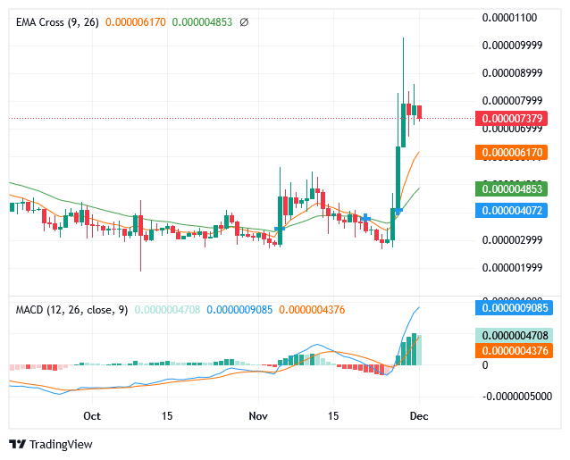 Sponge Market Exhibit a Positive Movement