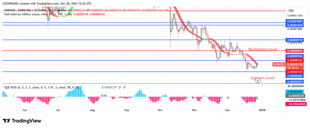 Shiba Inu (SHIB) Price: Will There Be a Further Price Reduction?
