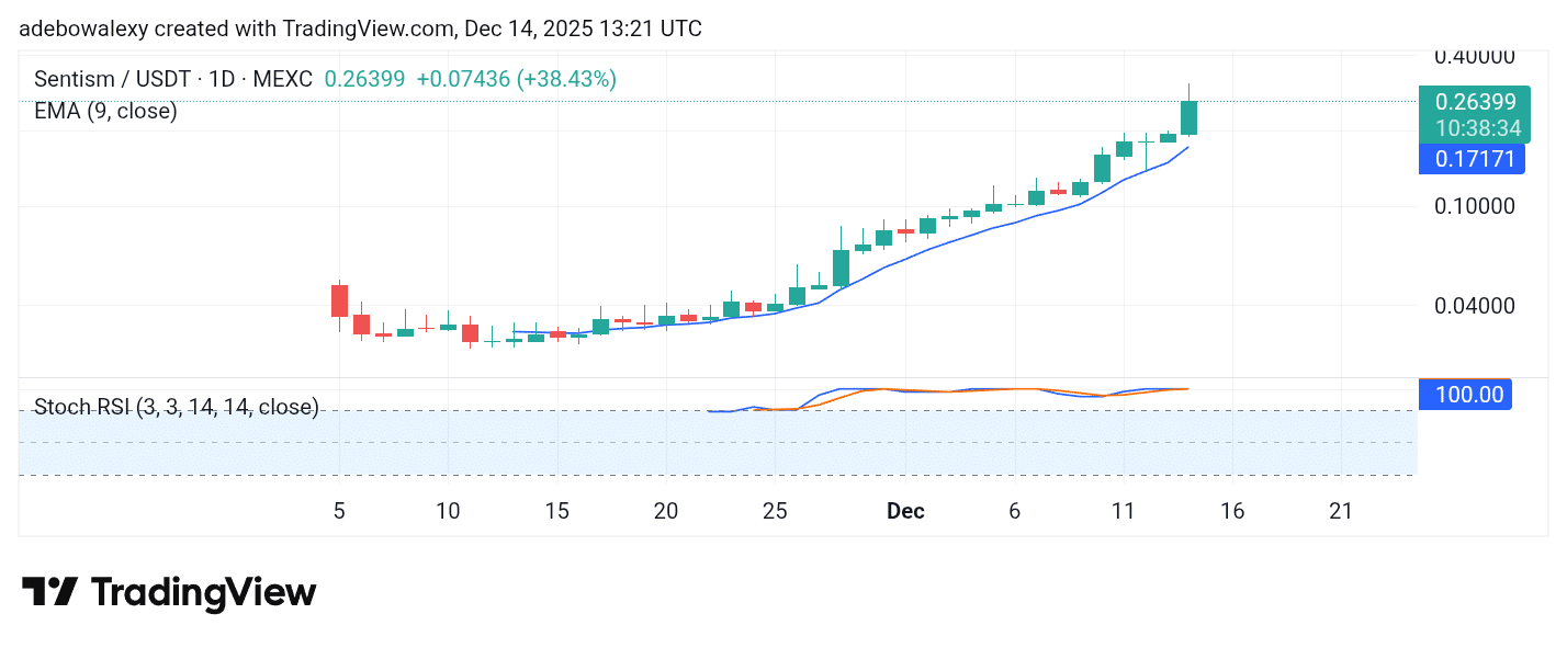 Trending Coins for December 14, 2025: BOOGIE, SENTIS, NIGHT, ESPORT, and BOXABL