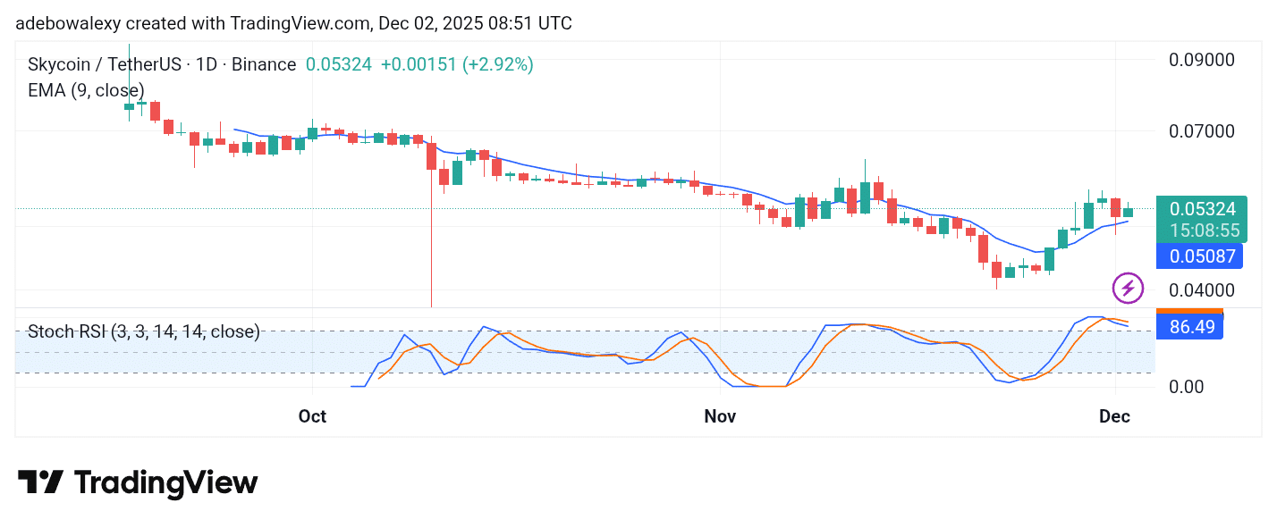 SKYUSDT Stays Resilient Above Key Technical Levels