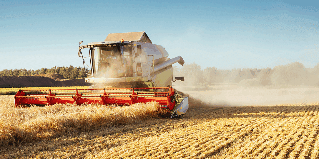 Trading and Tall Poppy Syndrome