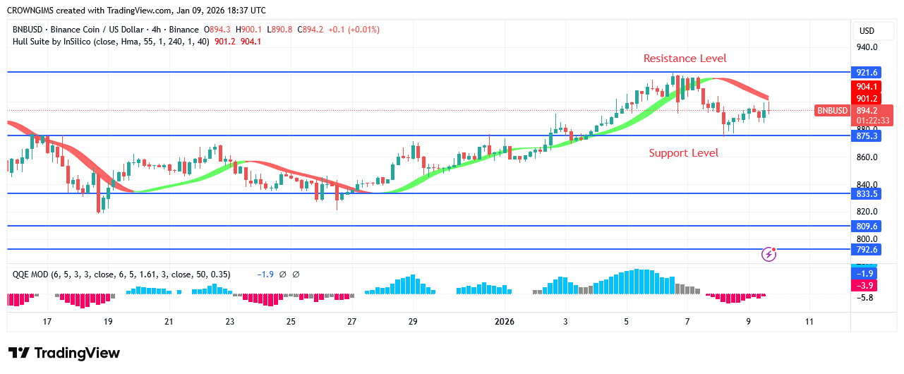 BNB (BNBUSD) Price May Decline Further After a Pullback