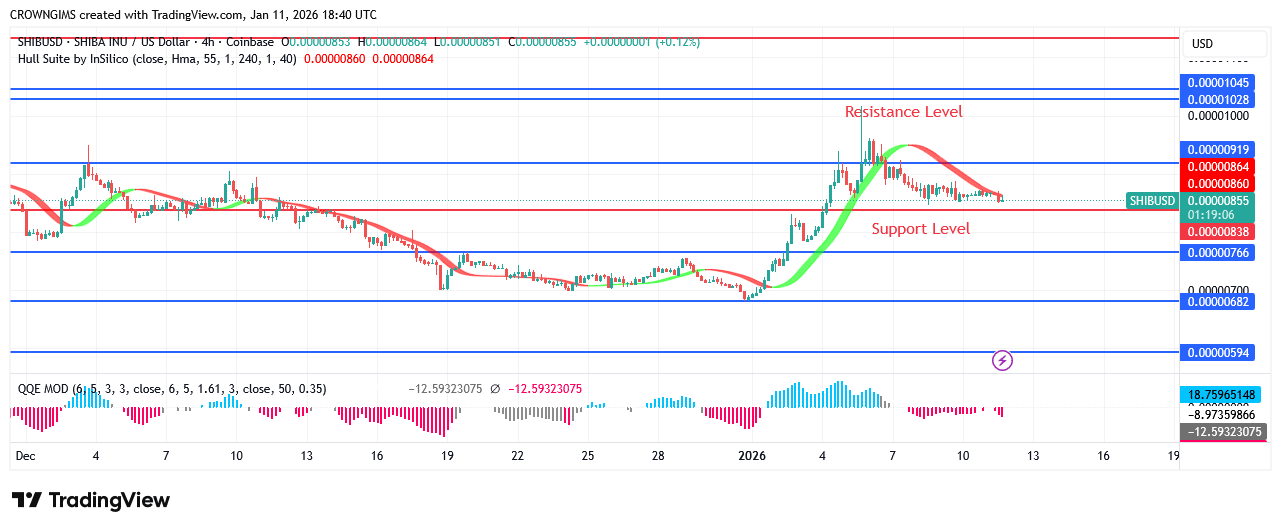 Shiba Inu (SHIB) Price: Bullish Trend May Continue