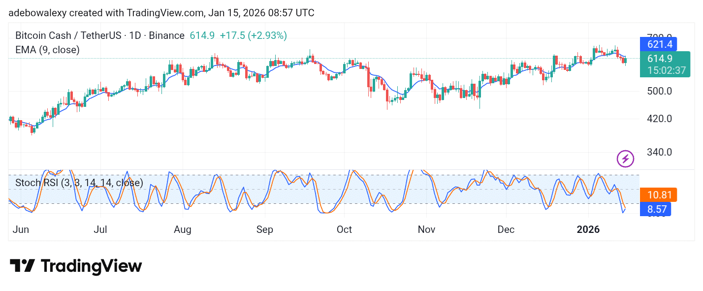 Bitcoin Cash (BCH) Registers Modest Increase