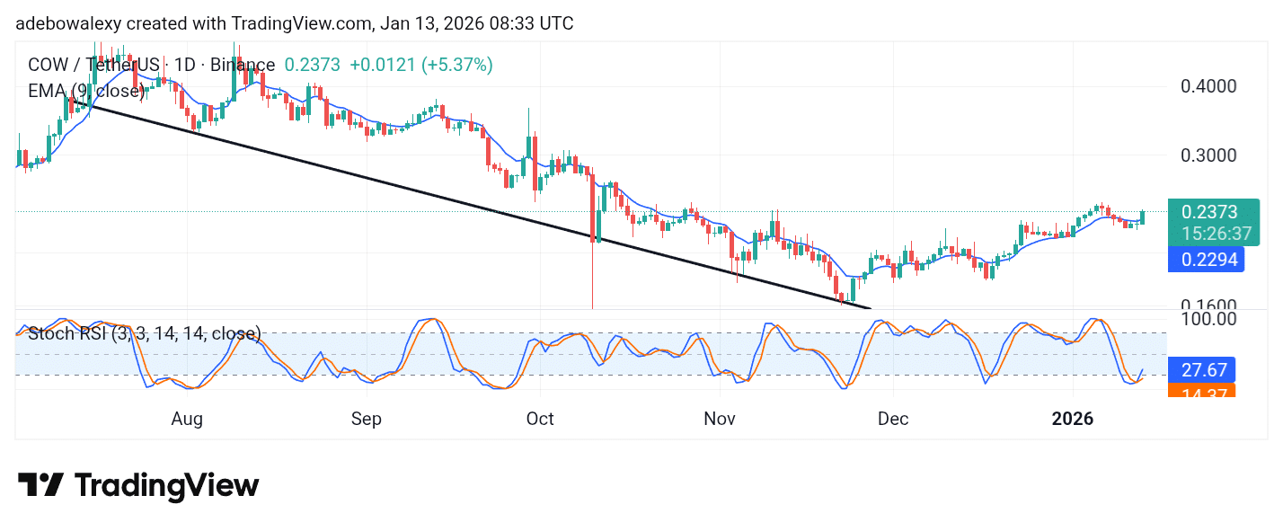 Cow Protocol (COW) Keeps a Steady Upward Path