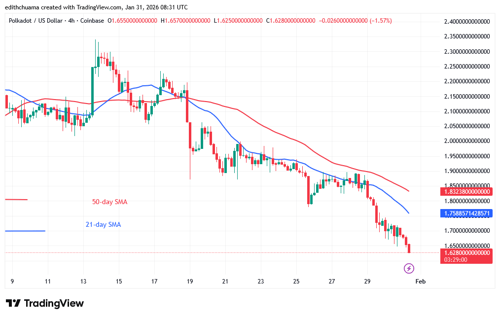 Polkadot Falls to Its $1.60 Low Price