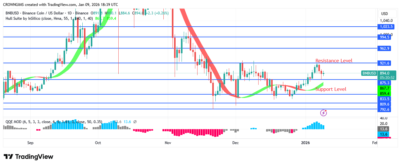 BNB (BNBUSD) Price May Decline Further After a Pullback