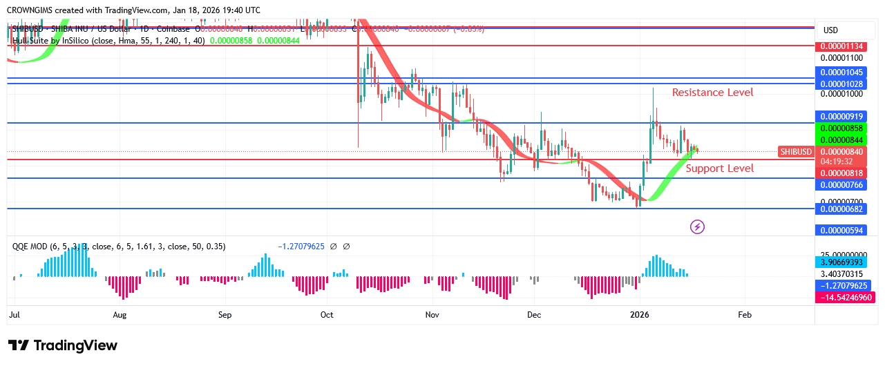 Shiba Inu (SHIB) Price Is Under Bullish Momentum
