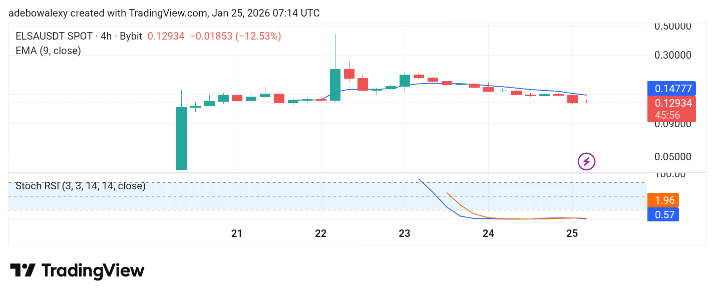 Trending Coins for January 25, 2026: FIGHT, PENGUIN, ELSA, FF, and ENSO
