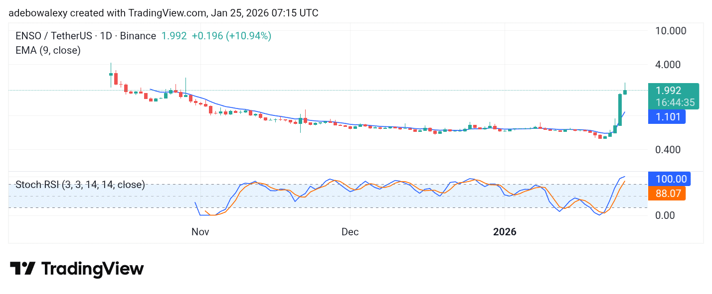 Trending Coins for January 25, 2026: FIGHT, PENGUIN, ELSA, FF, and ENSO
