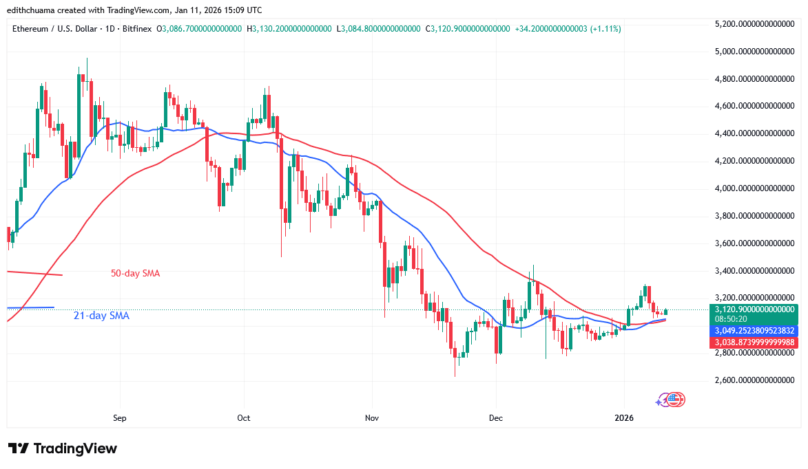 Ethereum Rises and Gains above the $3,000 Support