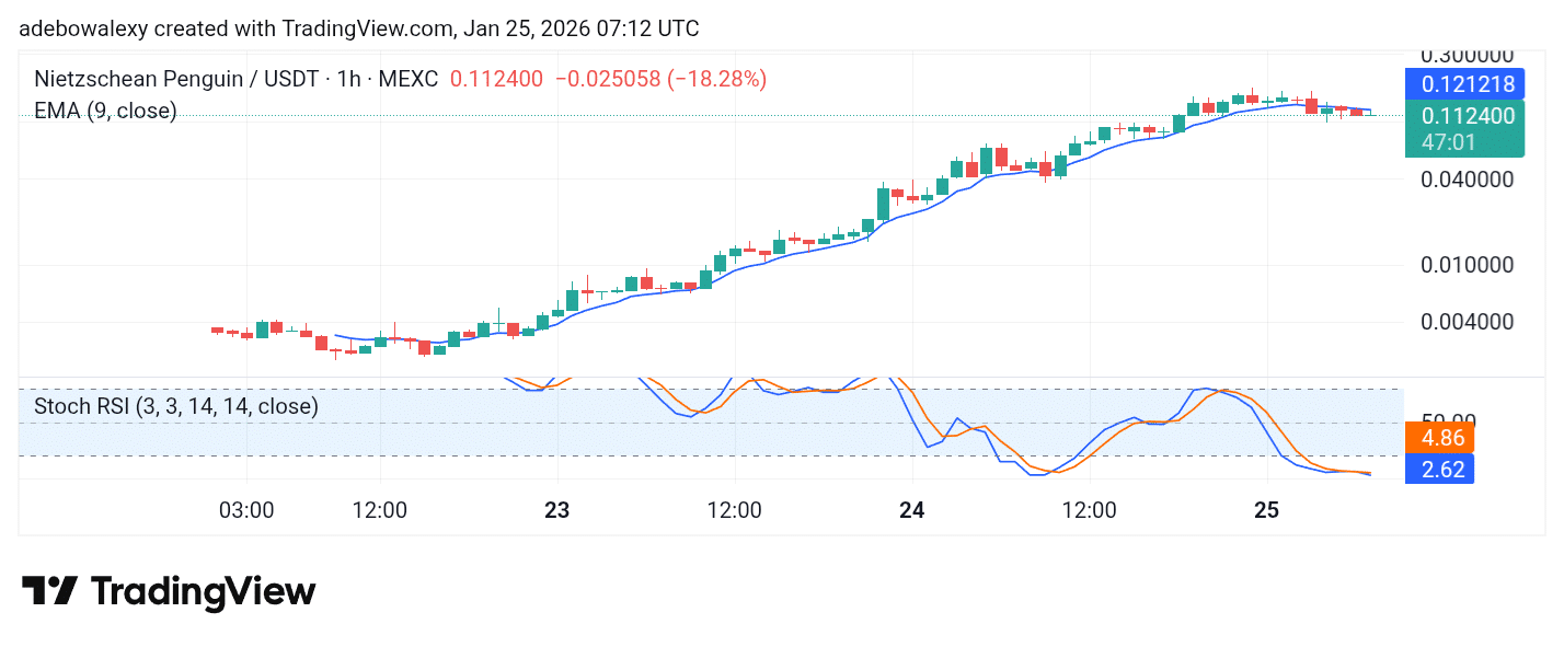 Trending Coins for January 25, 2026: FIGHT, PENGUIN, ELSA, FF, and ENSO