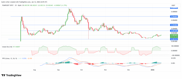 PUMP Momentum Slips Below $0.00250 as Trend Weakens