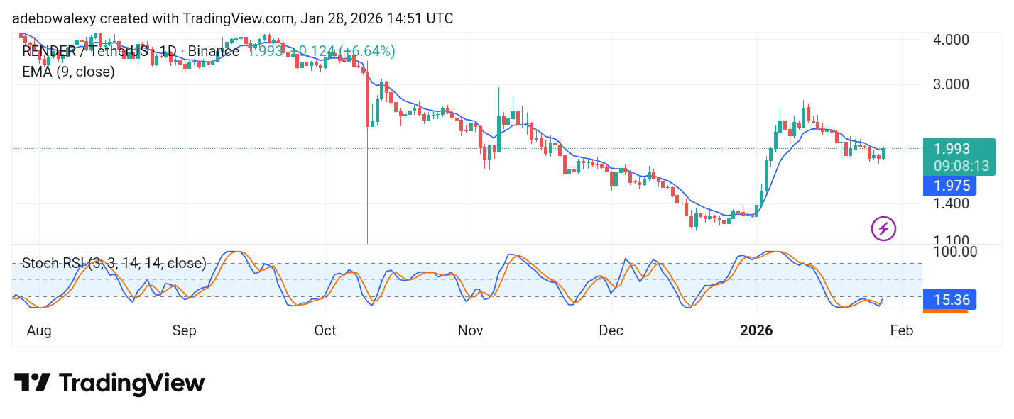 Render Posts Modest Gains