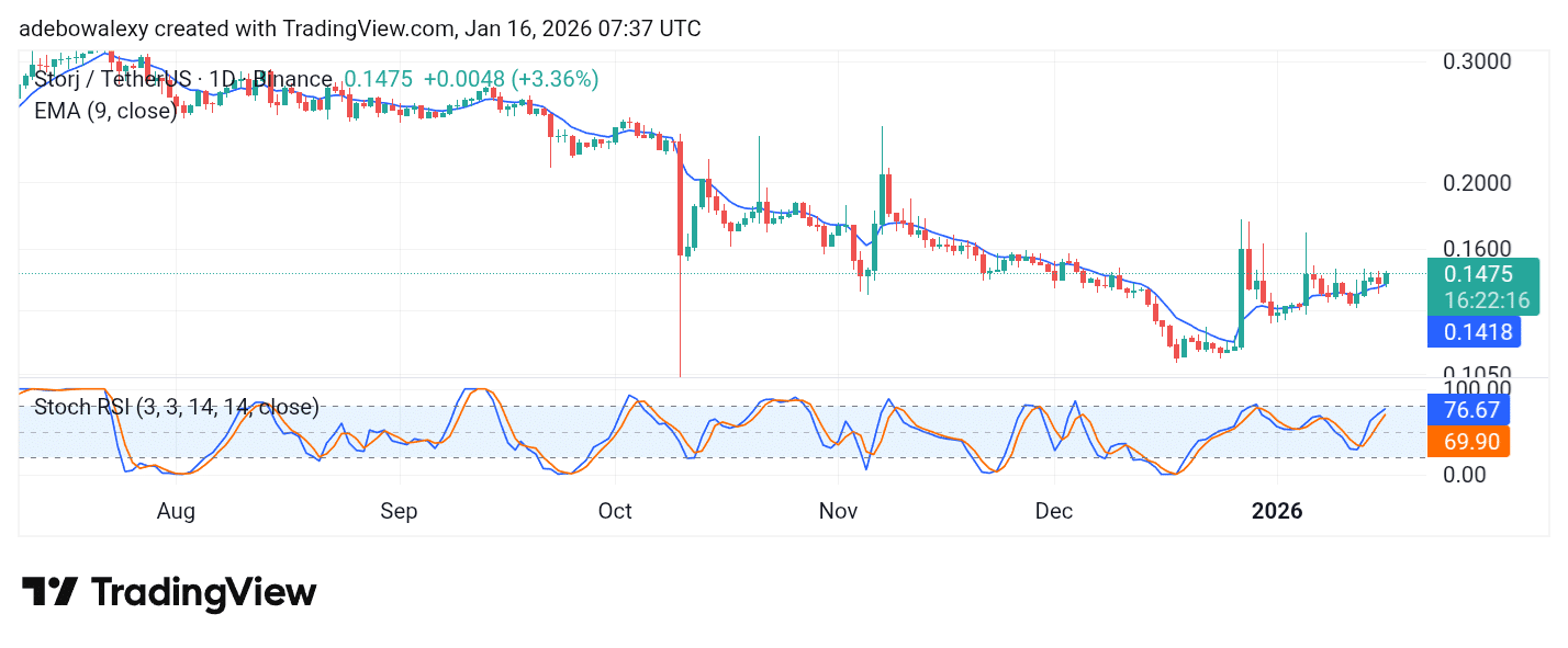 STORJ/USDT 6.42% Gains May Grow