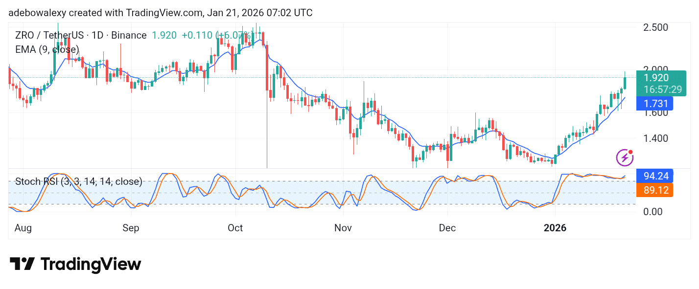 LayerZero (ZRO) Shines