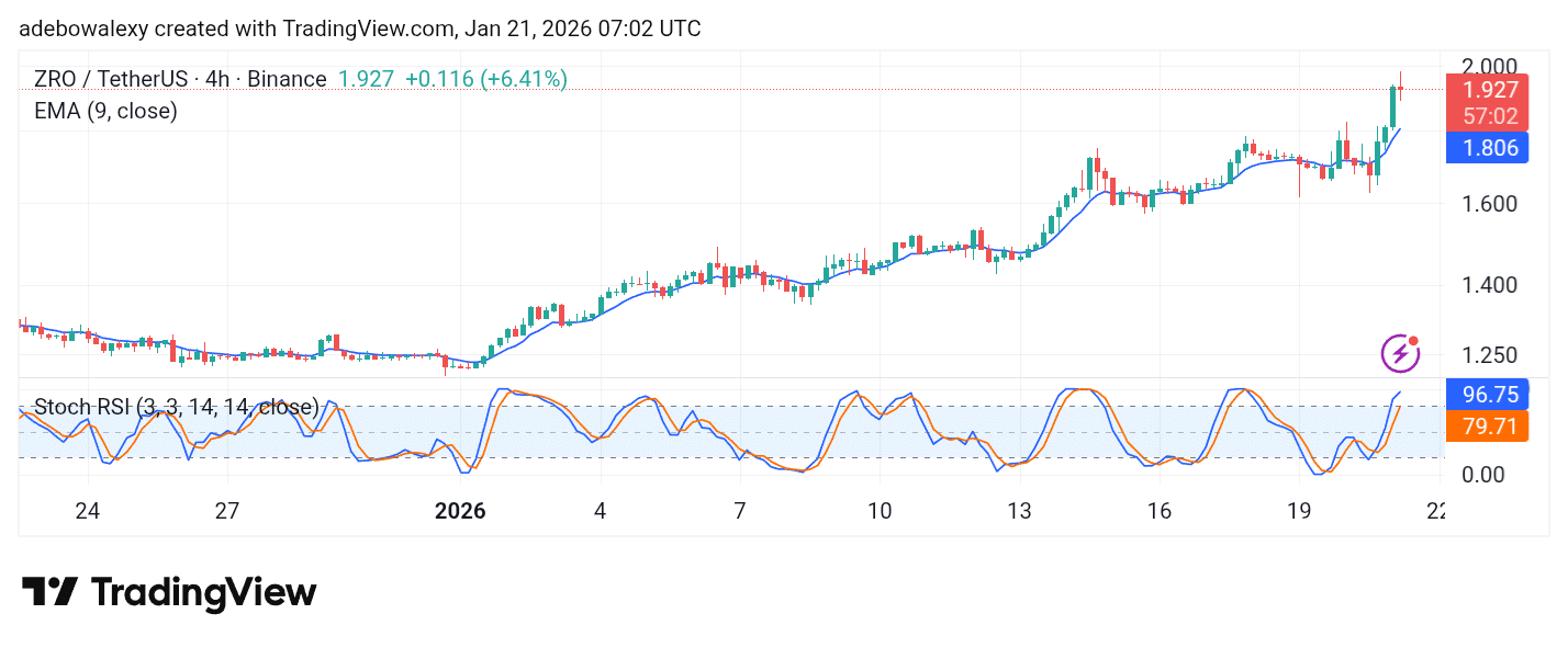 LayerZero (ZRO) Shines