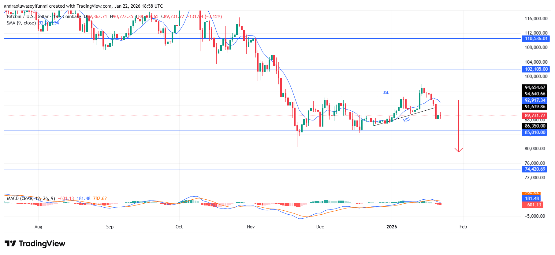 BTCUSD Remains Within A Clearly Defined Bearish Environment