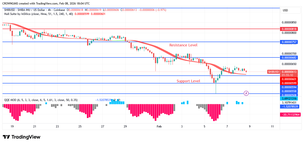 Shiba Inu (SHIB) Price: Bears’ Pressure Increase Daily