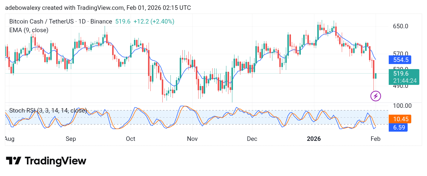 Bitcoin Cash (BCH) Posts a Modest Rebound After a Sharp Dip