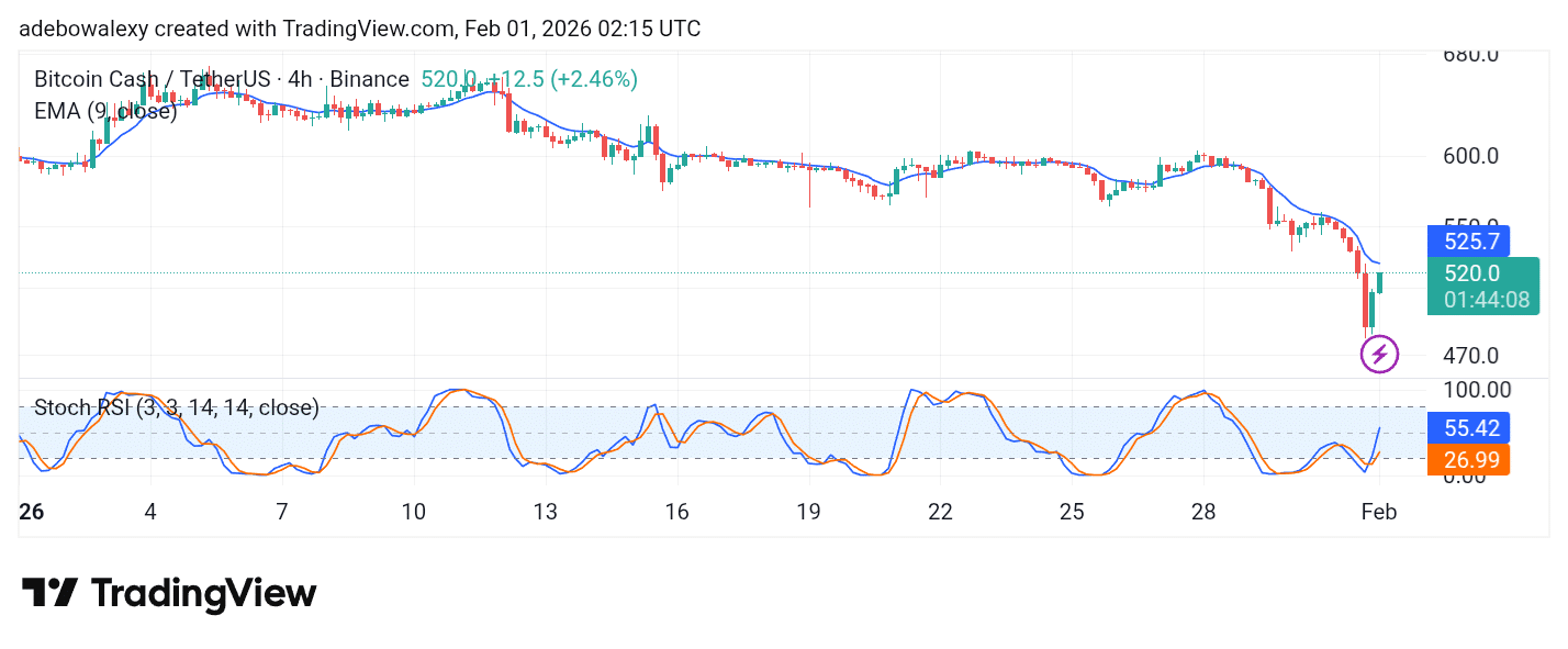 Bitcoin Cash (BCH) Posts a Modest Rebound After a Sharp Dip