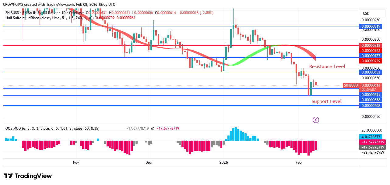 Shiba Inu (SHIB) Price: Bears’ Pressure Increase Daily