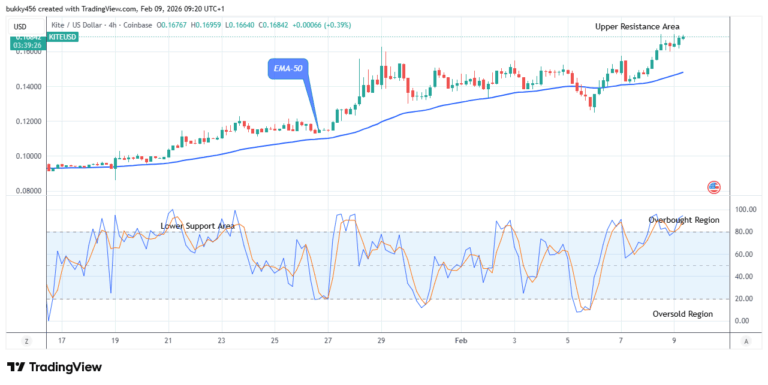 Kite (KITEUSD) Hits a NEW All-Time High at $0.169