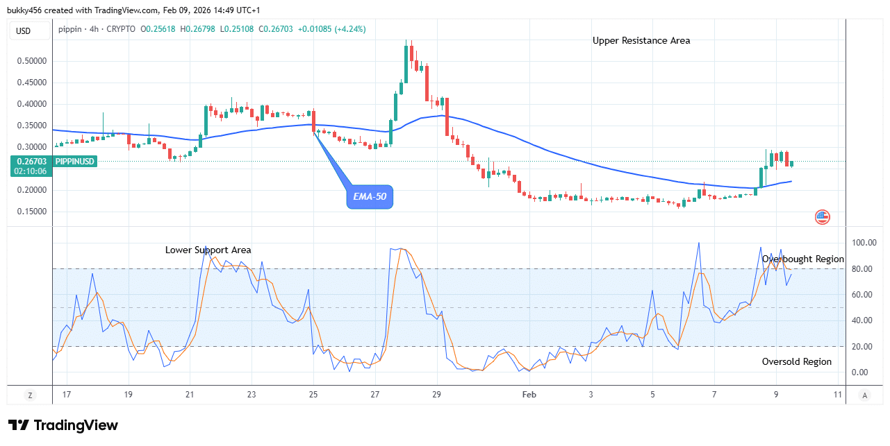 Pippin (PIPPINUSDT) Price Remains Strongly Bullish