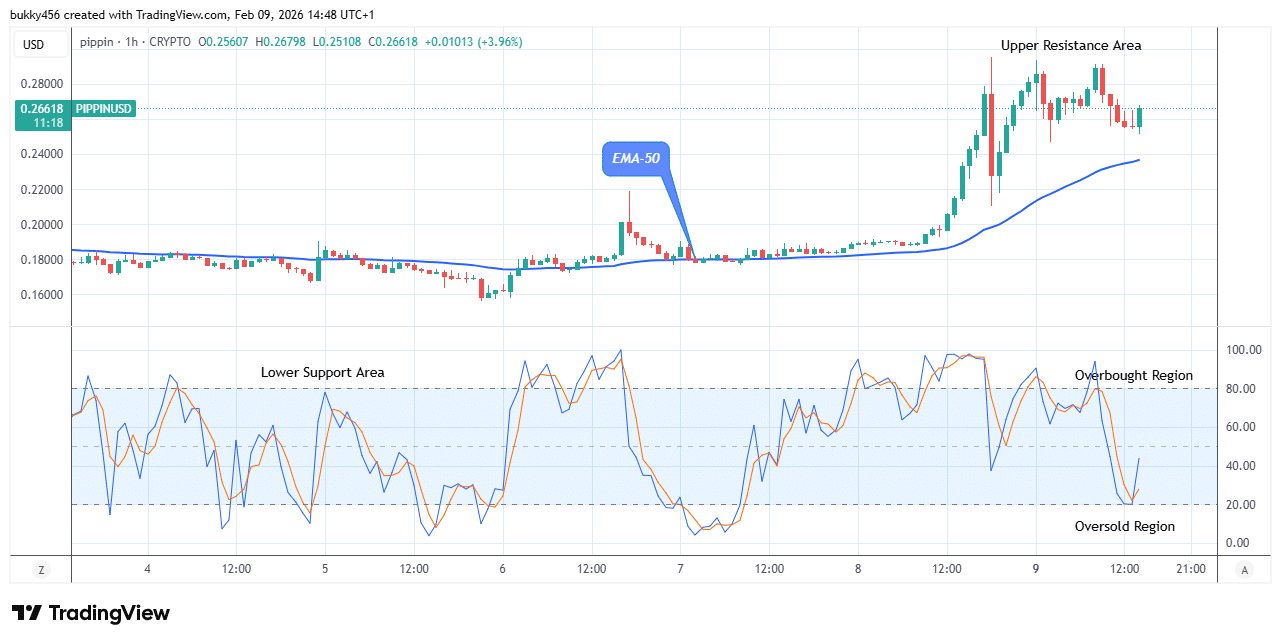 Pippin (PIPPINUSDT) Price Remains Strongly Bullish
