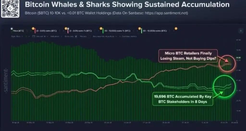 Bitcoin Whales Are Accumulating — But Retail Buyers Are Losing Steam