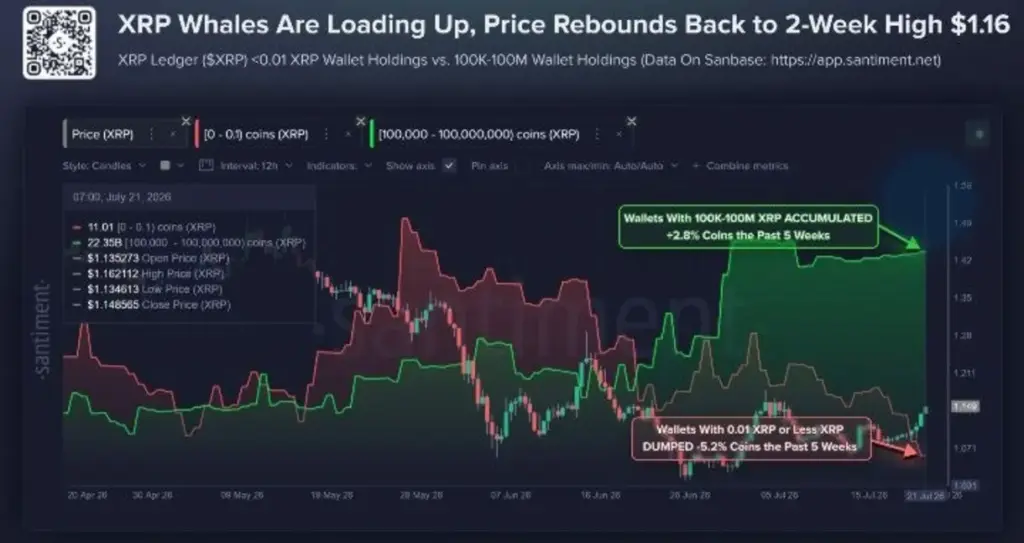 The XRP Recovery May Be Telling a Bigger Story